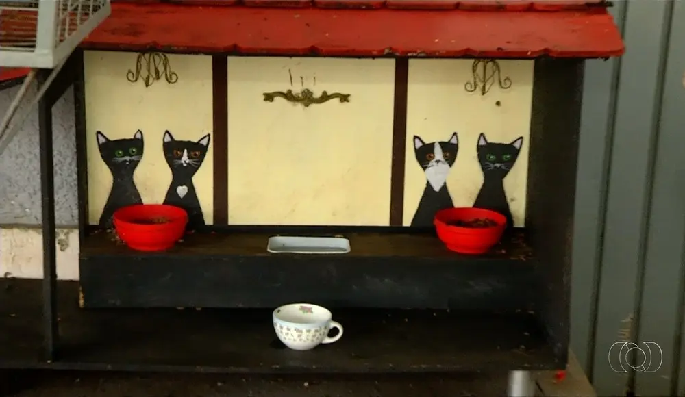 Abrigo para gatos inspirado e cafeterias de Paris.