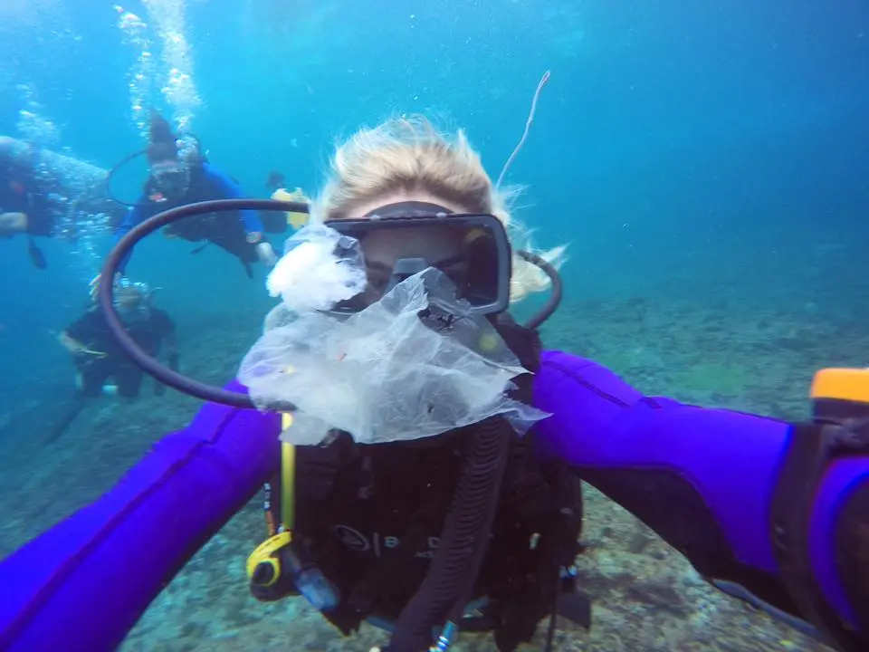 O plástico compõe o grande número de lixos descartados incorretamente nos oceanos.