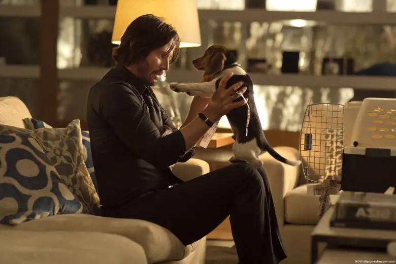 Cenas de animais maltratados em séries e filmes são questionadas por críticos de cinema.
