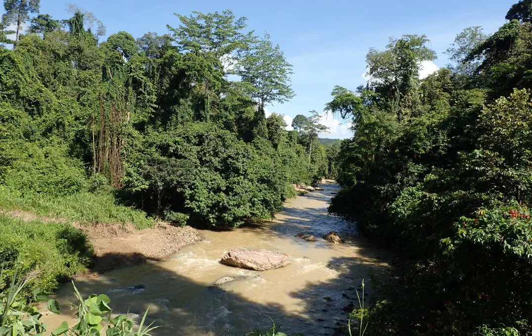 Altos níveis de sedimentos em suspensão em um grande rio de dendezeiros com reserva ribeirinha.
