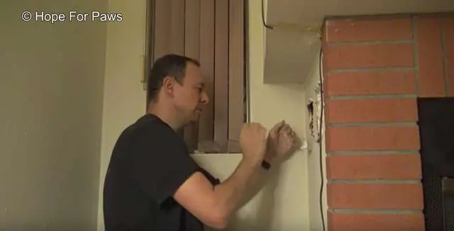 Um casal estava em sua casa quando começaram a ouvir miados. Eles então perceberam que havia um gato preso em sua chaminé.