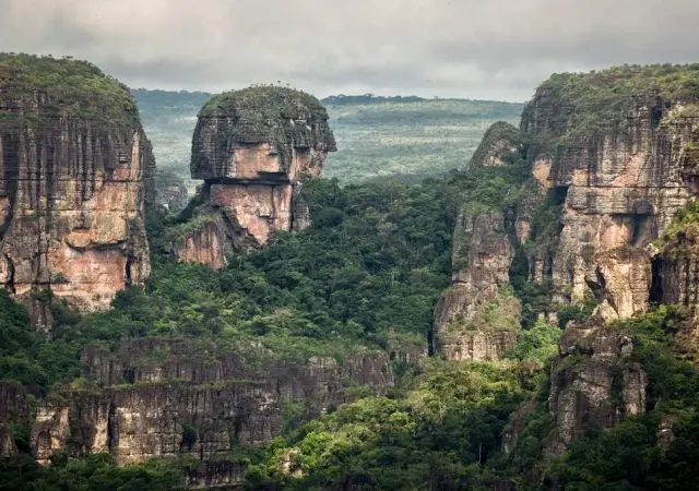 O Parque Nacional é lar de milhares de espécies da fauna e flora.