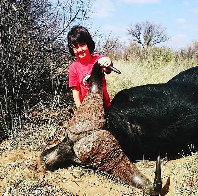 A empresa de safári Thaka Safaris na África do Sul postou essa foto com a leganda: "Nossa filha com um belo búfalo, esse foi o feito de uma garotinha" 