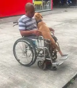 A relação de Danilo Alarcon com o cão Digong é uma verdadeira prova de como os animais são seres carinhosos e amáveis.