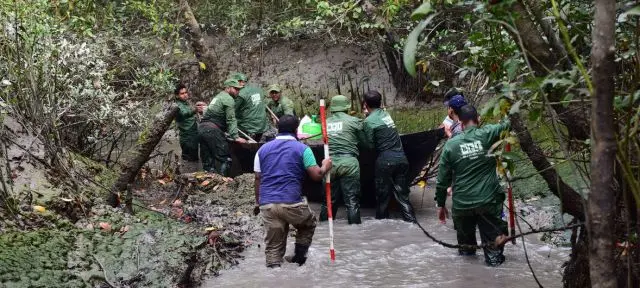 A floresta Sundarbans, um Patrimônio Mundial da UNESCO em Bangladesh, está sendo comprometida pela "industrialização imprudente". 