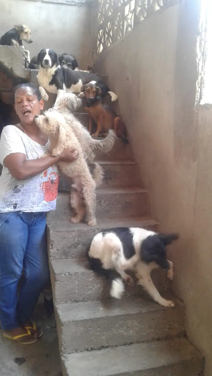 Marilene e seus filhos de patas, como ela mesma os chama | Foto: Acervo pessoal