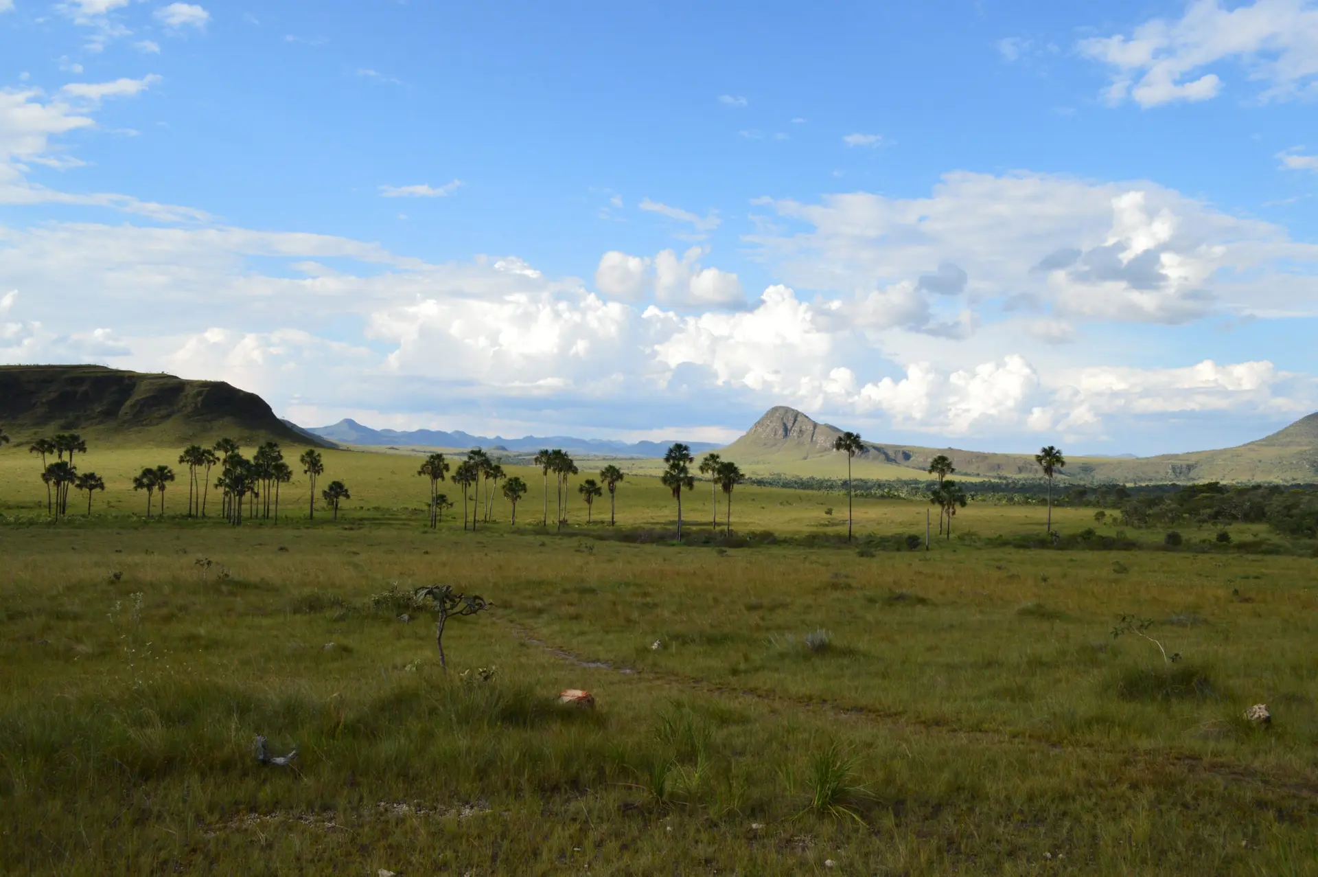 Imagem da Chapada dos Veadeiros