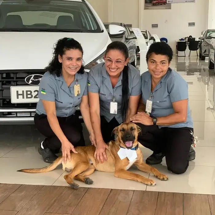 Na imagem, um cachorro com funcionárias da Hyundai