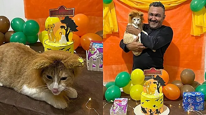 Pai comerciante que não queria saber de gato, fecha a loja mais cedo para comemorar aniversário do felino.