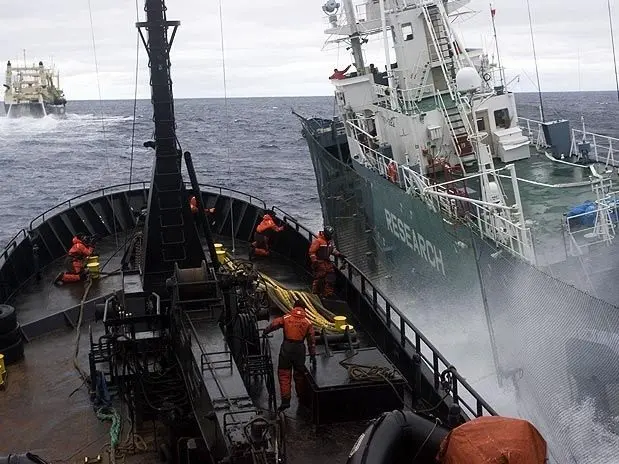 Baleeiro japonês bate em navio da Sea Shepherd. (Imagem: AP)
