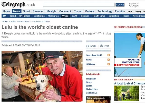 Idade da cadela 'Lulu' equivale a 147 anos humanos. (Foto: Reprodução/Daily Telegraph)