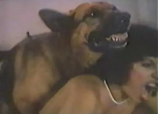 imagem de um cão mantendo relações sexuais com uma mulher, durante cena de filme