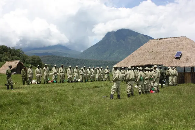 imagem dos guardas reunidos para proteger os gorilas das armadilhas
