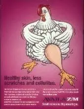 foto de uma campanha em que o frango oferece a coxa pra ser consumida