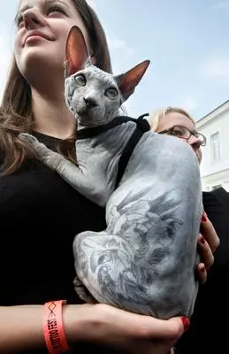 foto da tutora russa com seu gato tatuado