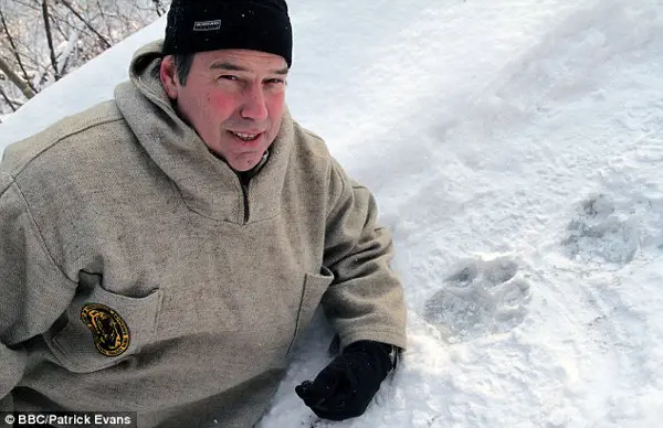 A equipe por trás da Operação Tigre da Neve, incluindo o Dr. Dale Miquelle, na foto, localizou o felino seguindo pegadas gigantes na neve. (Foto: Daily Mail)
