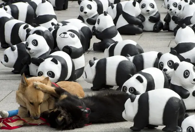 Cães brincam em meio a pandas de brinquedo na Alemanha (Foto: John Macdougall/AFP)