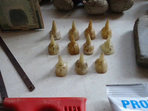 Diversos objetos foram encontrados na casa em Cubatão (Foto: Divulgação/Polícia Militar Ambiental)