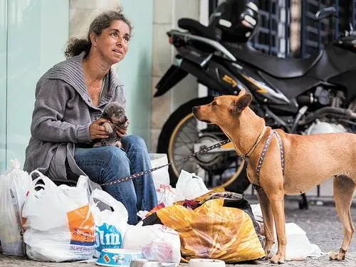 Eliane com seus dois cachorros: ela compra ração e diz que os animais são vacinados - Fonte: O Globo / Daniela Dacorso
