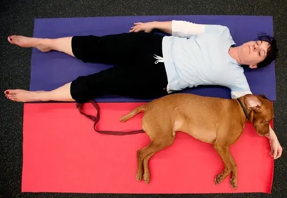 Doga - ioga cachorro (Foto: Stuart Isett/The New York Times)