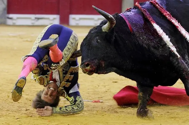 Toureiro El Cordobes é atingido por touro. Foto: Mirror.UK