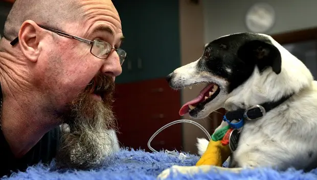 O cãozinho Salty foi salvo a respiração boca a boca (Foto: Reprodução Internet)