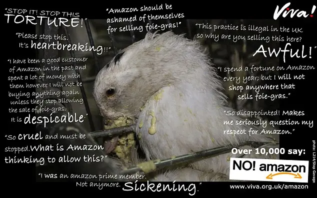 Eles pressionaram a Amazon com cartazes e as provas de vídeo que eles dizem que mostrou que os produtos que ela vendia vieram de fazendas onde as aves foram tratadas de forma cruel.
