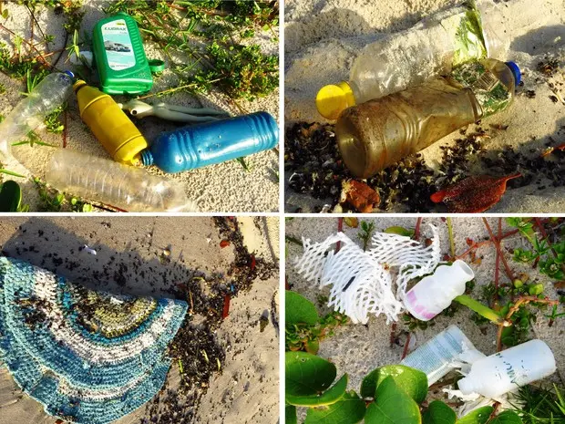 Mergulhadora fotografa lixo doméstico encontrado na Praia do Francês (Foto: Flavia Dabbur/Arquivo pessoal)
