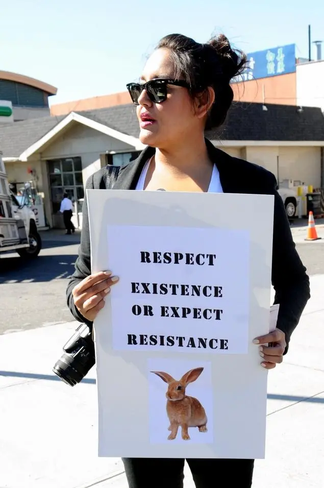 A manifestante Shafali Patel, que junto com outros ativistas de direitos animais, protestava em frente a P&M Aves vivas, em Flushing, no sábado.