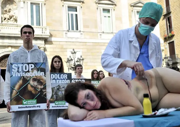 Ativistas do grupo 'AnimaNaturalis' usaram mulher nua para simular experimentos (Foto: Josep Lago/AFP)