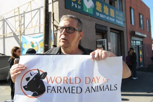 Tony Chisholl de Jersey City, New Jersey, se une a outros ativistas de direitos animais durante o protesto em frente à P&M Aves Vivas em Flushing, Queens.