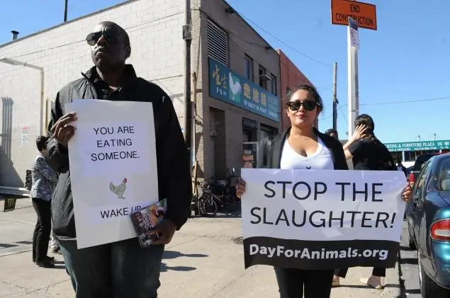 Brenden Williams e Shafali Patel também participaram do protesto contra o mercado que vende carne viva de animais e que são abatidos para alimentação.