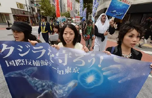 Manifestantes carregam faixas contra a caça de baleias em rua do distrito de Shibuya, em Tóquio. (Foto: AFP Photo/Toru Yamanaka)