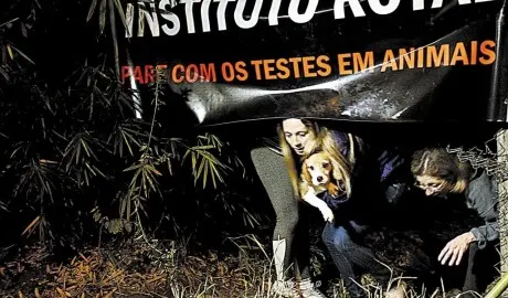 Instituto Royal chegou a ser invadido no mês passado em São Paulo. (Foto: Edison Temoteo/ Estadão Conteúdo)