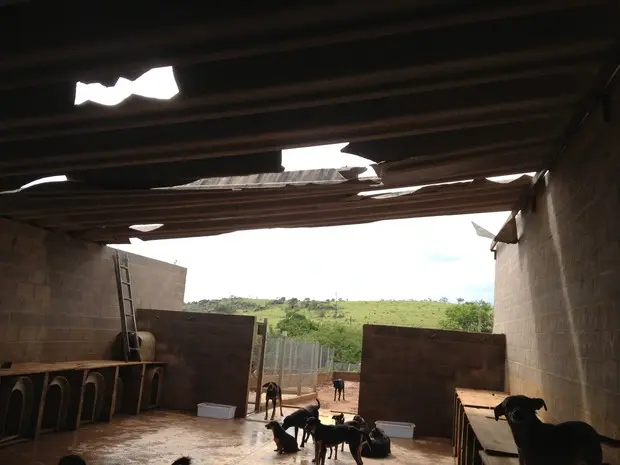 Cobertura de metal de um abrigo de animais em Campinas foi destruída pela chuva (Foto: Flávio Lamas/Divulgação)