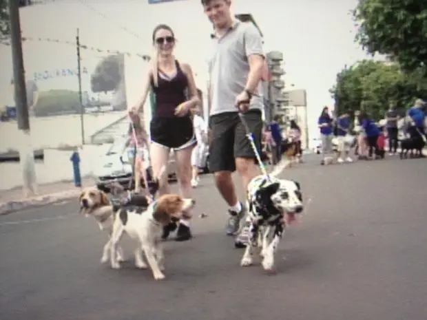 Cães e seus tutores participaram de caminhada em Chapecó (Foto: Reprodução/RBS TV)