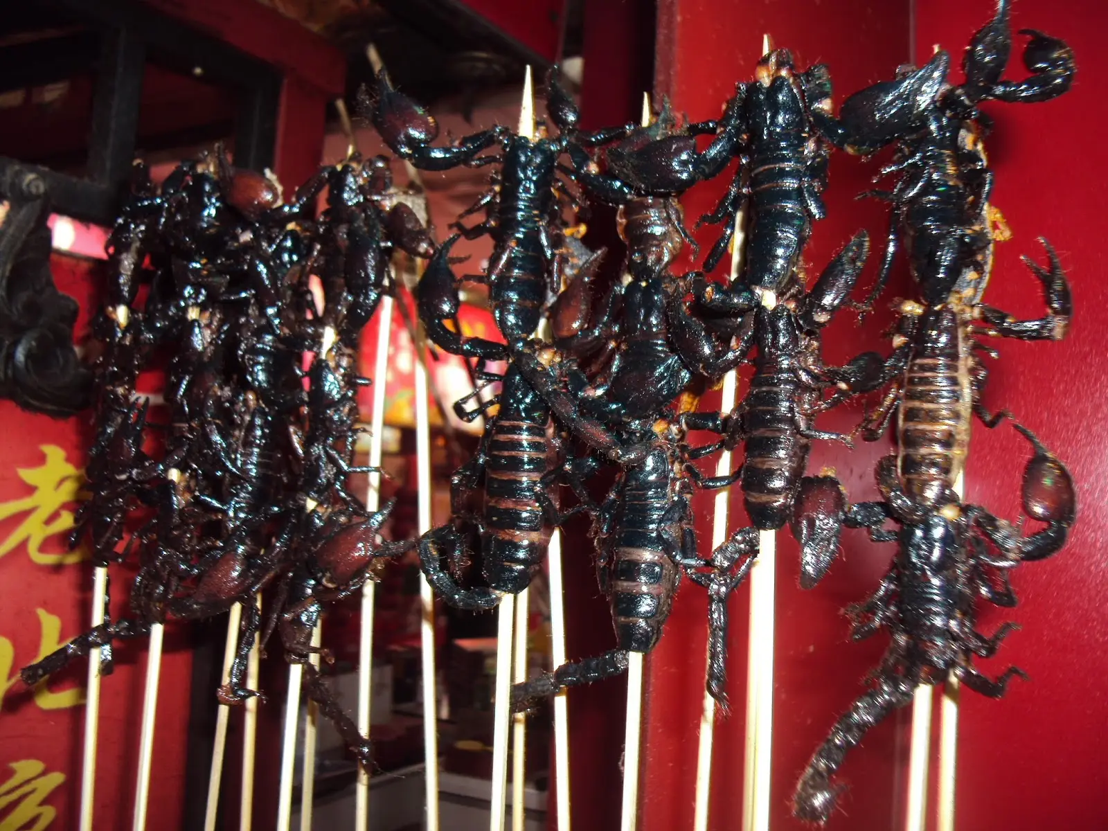 Escorpiões também são comercializados em feiras de rua na China. (Foto: Reprodução)