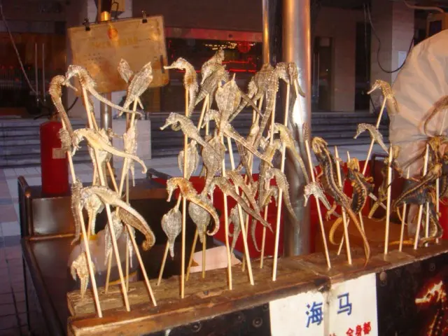 Cavalos-marinhos são vendidos em mercados de rua na China. (Foto: Internet)