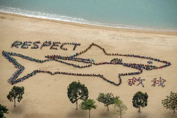Imagem aérea mostra crianças em uma praia de Hong Kong que formaram a imagem de um tubarão e a palavra respeito, escrita em inglês  (Foto: Philippe Lopez/AFP)