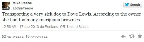 "Trasportando um cachorro muito doente. De Acordo com o tutor, ela comeu brownies de maconha demais." (Foto: Reprodução)