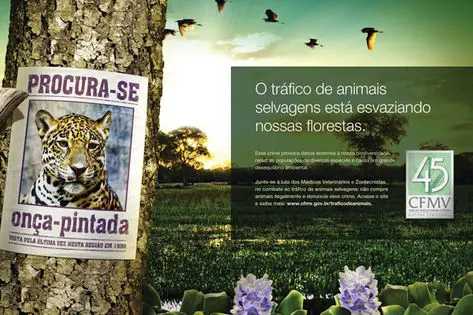 Veterinários promovem campanha contra o tráfico de animais durante a 40° Expoagro (Foto: Divulgação)