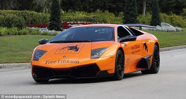 Lamborghini estilizada rodava na região do protesto com o slogan "Free Tilikum" ("Libertem Tilikum") em todos os lados. Foto: Daily Mail 