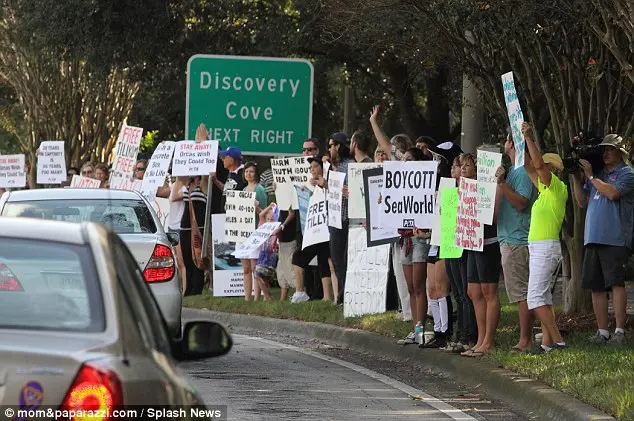 Manifestantes em protesto em frente ao SeaWorld no último domingo. Foto: Daily Mail