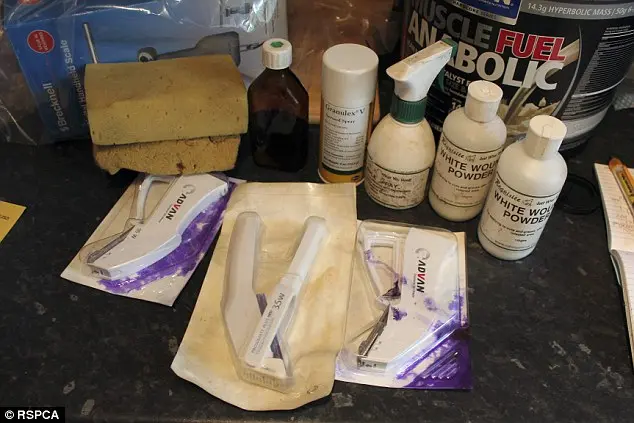 Esponjas e outros produtos utilizados durante as rinhas (Foto: RSPCA)