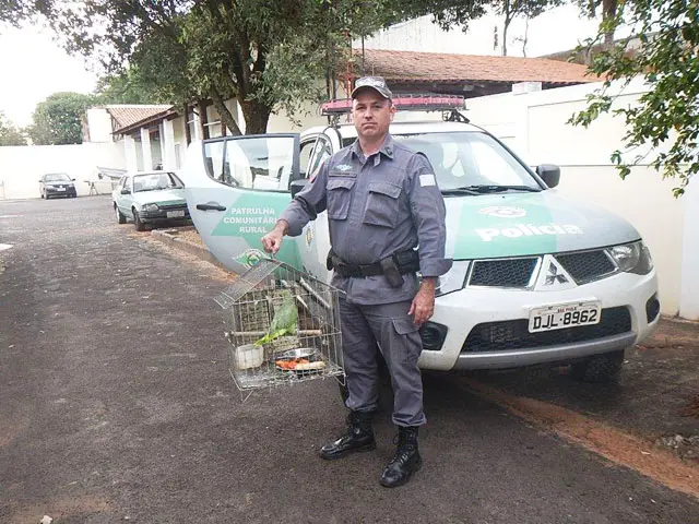 (Foto: Polícia Militar Ambiental/Cedida)