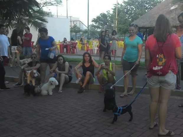 Várias pessoas participaram do evento levando seus animais (Foto: Katylenin França/Rede Clube)