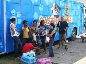 Castramóvel atende tutores de cães e gatos (Foto: Divulgação / Agecom)