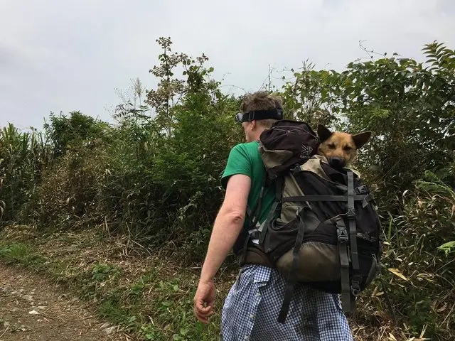 Cão sendo transportado na mochila após ser encontrado com as patas machucadas.