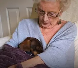 Cadelinha ama ficar no colo de sua avó