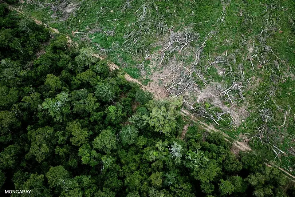 Desmatamento na Amazônia